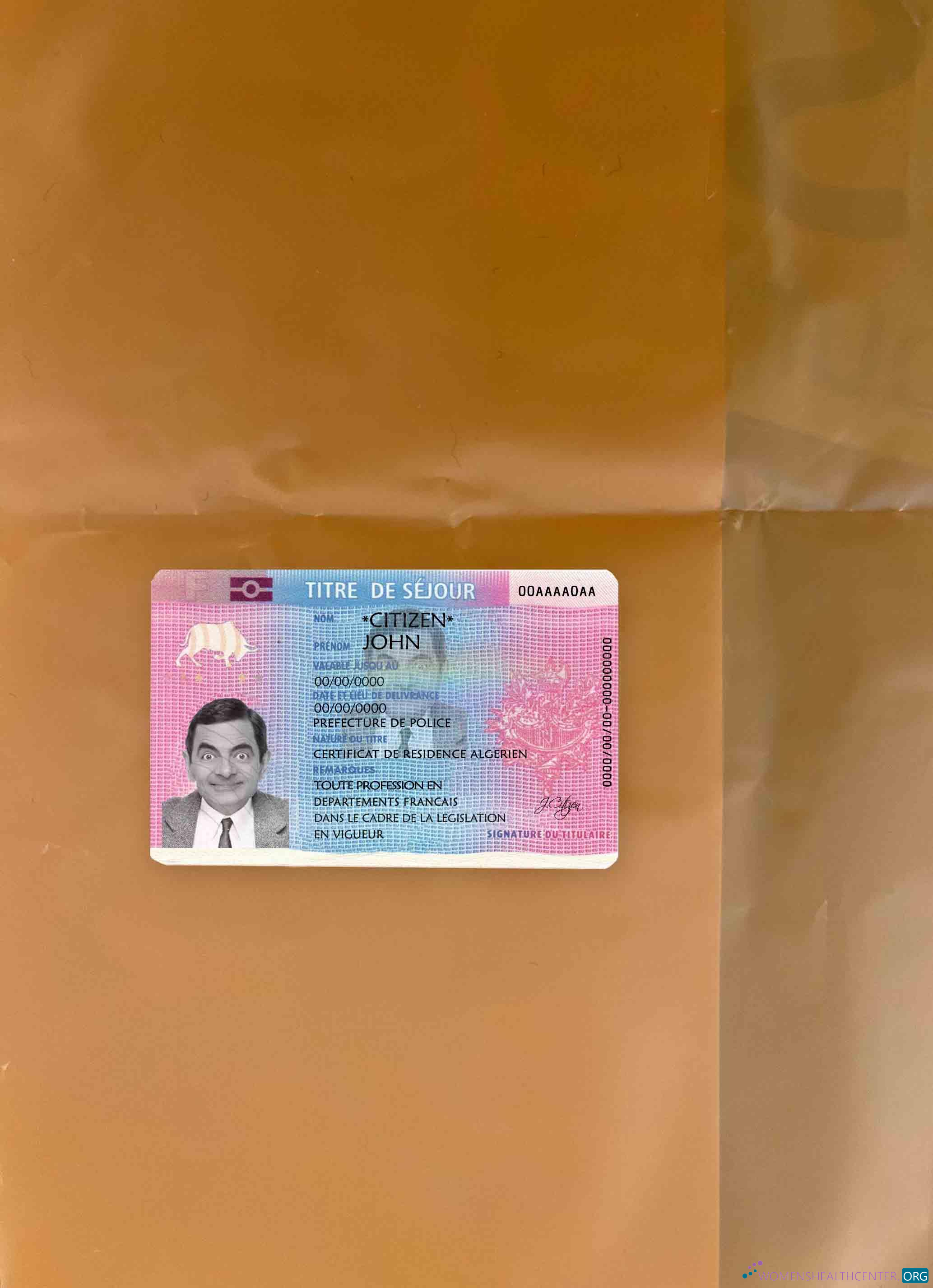 Download France Residence permit (Titre de séjour) photolook FRONT Photoshop template